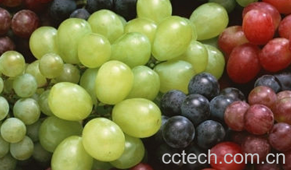 果蔬百科葡萄的食疗功效与用法-0