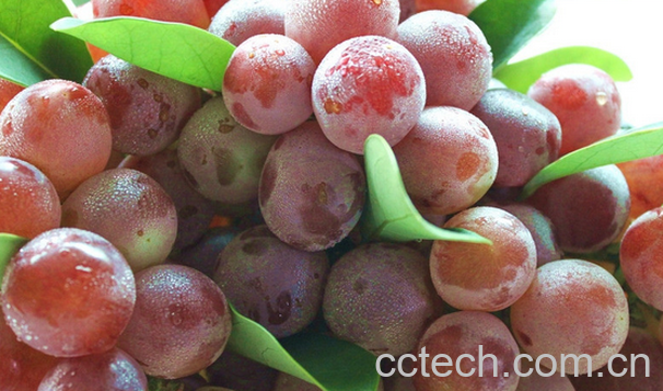 果蔬百科红提的营养价值-0