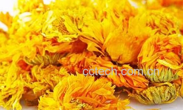 果蔬百科金盏菊花茶-0