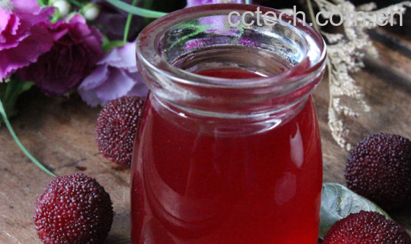 果蔬百科杨梅汁的做法与功效-0