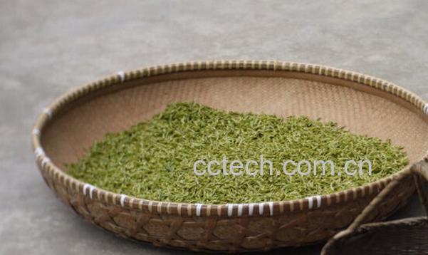 果蔬百科华顶云雾茶-0