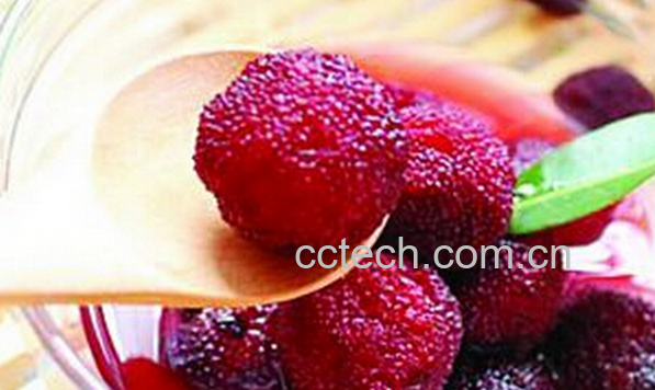 果蔬百科腌杨梅的做法-0