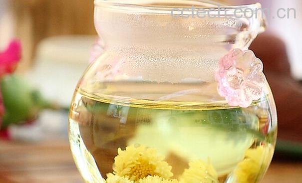 果蔬百科喝菊花茶的功效与禁忌-0