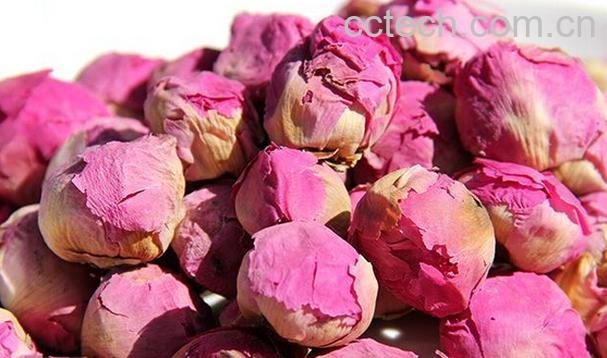 果蔬百科芍药花茶-0