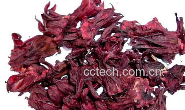 果蔬百科洛神花茶的副作用-0