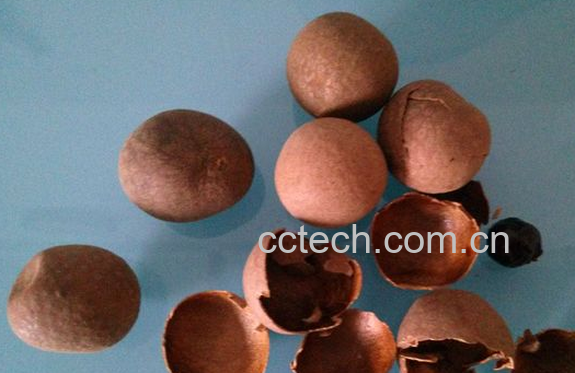 果蔬百科龙眼壳的功效与作用-0