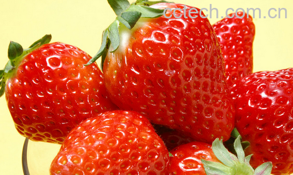 果蔬百科吃草莓的好处有哪些-0