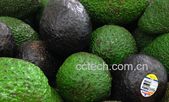 果蔬百科鳄梨的营养价值-0