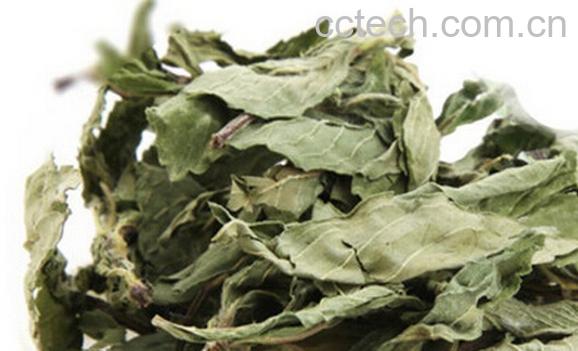 果蔬百科如何制作荷叶茶-0