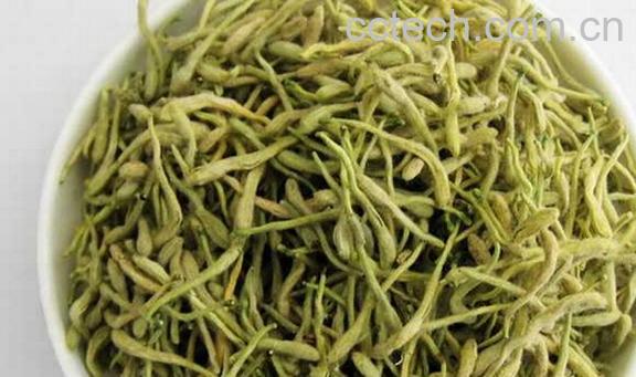 果蔬百科夏季喝什么茶好-0