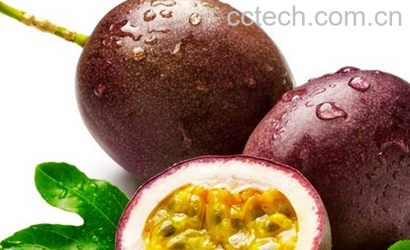 果蔬百科西番莲是什么-0