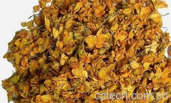 果蔬百科金莲花茶-0
