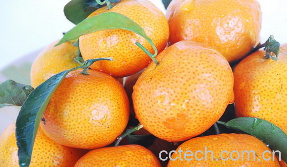 果蔬百科桔子的药用功效有哪些-0