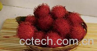 果蔬百科红毛丹怎么吃-0