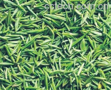 果蔬百科古丈毛尖的功效与作用-0