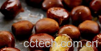 果蔬百科栗子的功效与作用-0