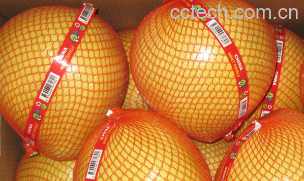 果蔬百科蜜柚的功效与作用-0