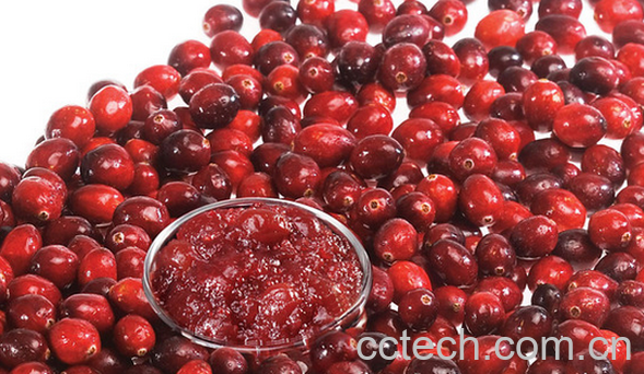 果蔬百科蔓越莓的营养价值与功效-0