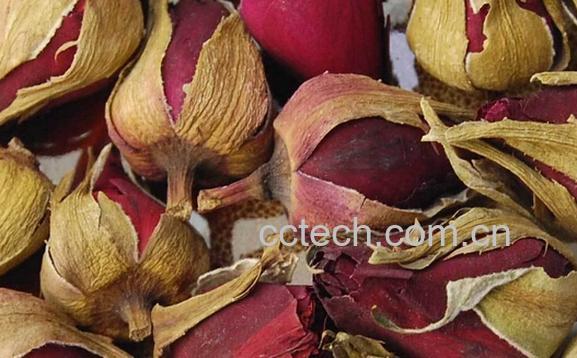 果蔬百科月季花茶-0