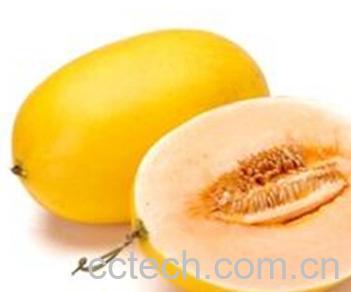 果蔬百科伊丽莎白瓜的功效与作用-0