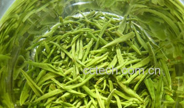 果蔬百科信阳毛尖-0