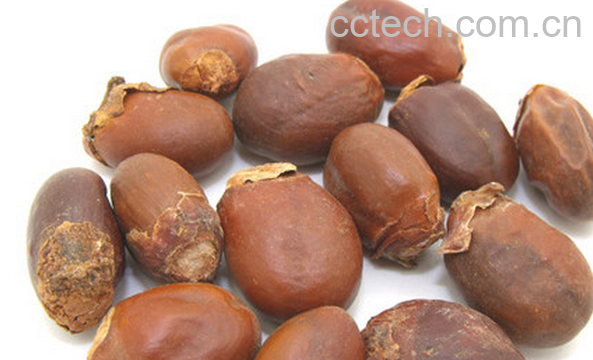 果蔬百科荔枝核的食用功效与用法-0