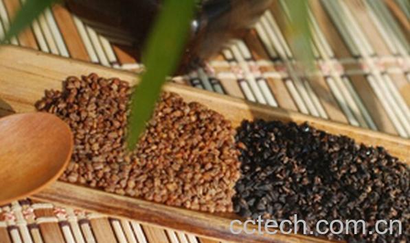 果蔬百科黑苦荞茶-0