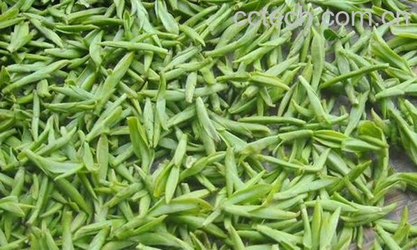 果蔬百科龙井茶-0