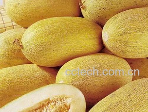 果蔬百科哈密瓜的功效与作用-0