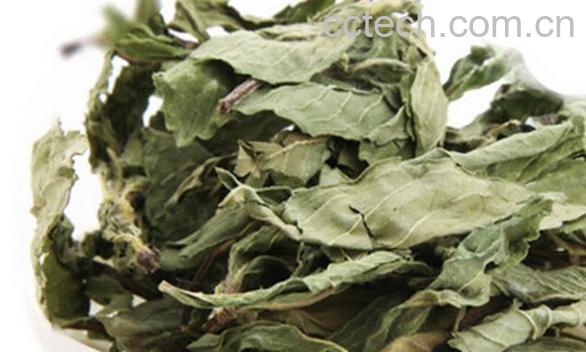 果蔬百科荷叶茶-0