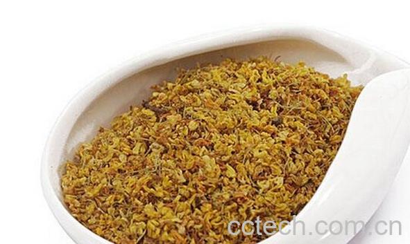 果蔬百科桂花茶-0