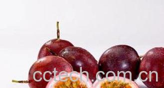 果蔬百科鸡蛋果的功效和作用-0