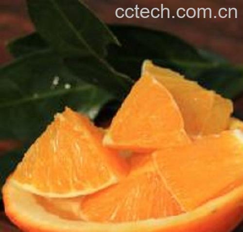 果蔬百科甜橙肉的功效与作用-0
