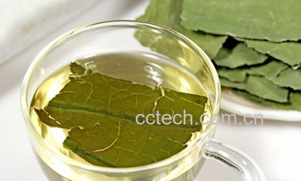 果蔬百科荷叶茶-0