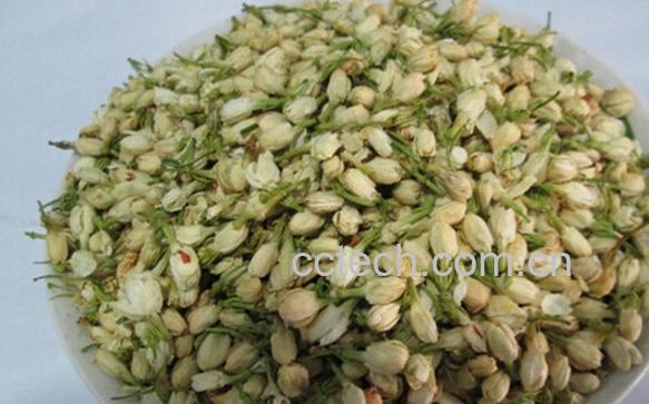 果蔬百科茉莉花泡水喝-0
