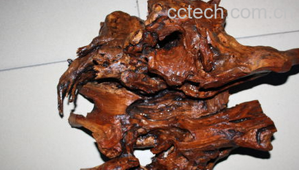 果蔬百科樱桃根的功效与作用-0