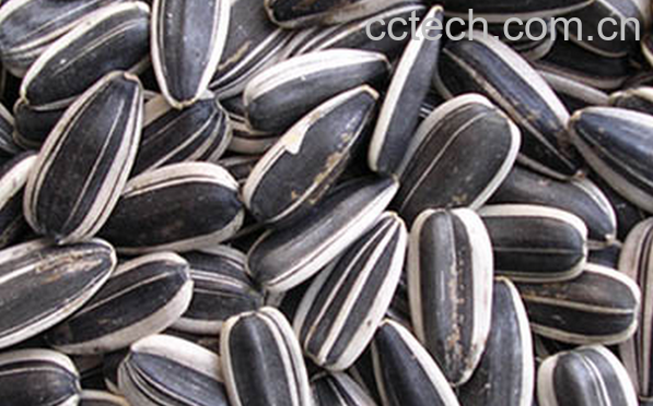 果蔬百科葵花籽的营养价值与功效-0