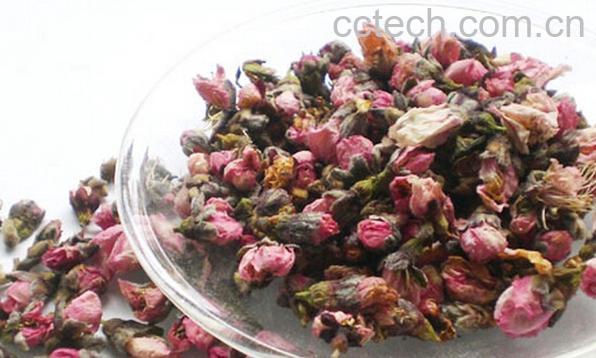 果蔬百科桃花茶-0