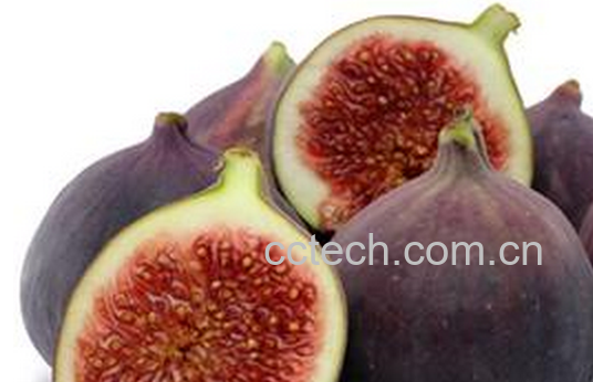 果蔬百科无花果的药用价值与功效-0