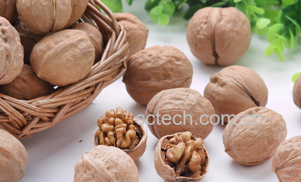 果蔬百科核桃的药用价值与功效-0