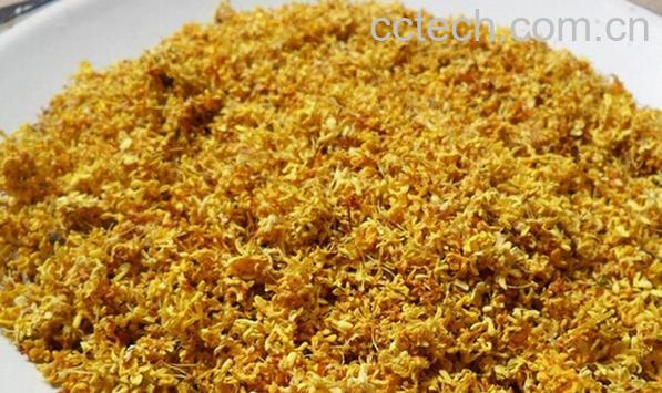 果蔬百科干桂花-0