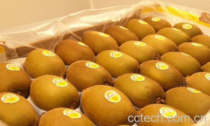 果蔬百科黄金奇异果的功效与作用-0