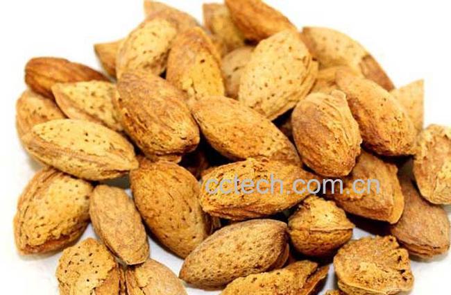 果蔬百科杏子的功效与作用-0