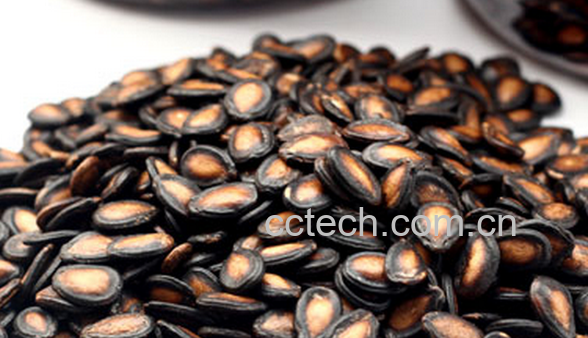 果蔬百科西瓜籽的功效与作用-0