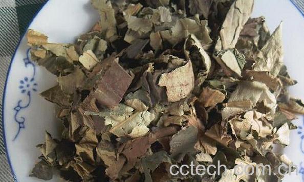 果蔬百科冬瓜荷叶茶-0