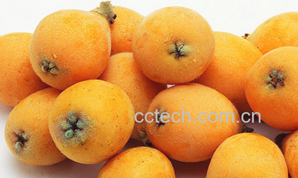 果蔬百科吃枇杷的好处有哪些-0