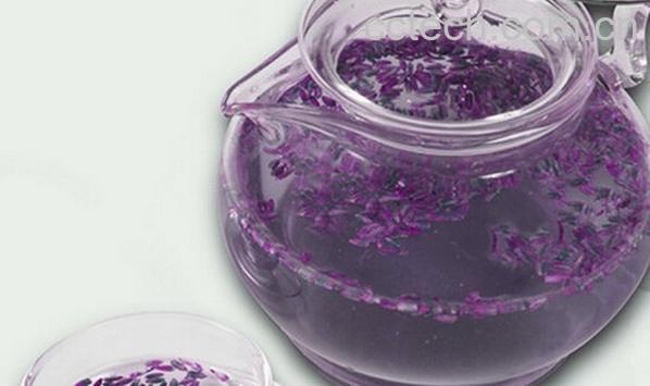 果蔬百科熏衣草-0