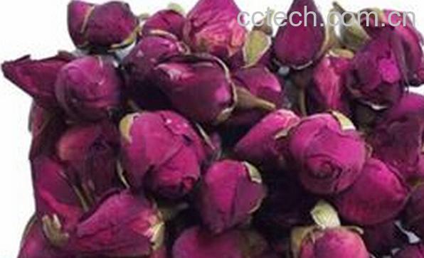 果蔬百科月季花的泡法-0