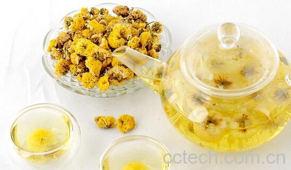 果蔬百科贡菊茶-0