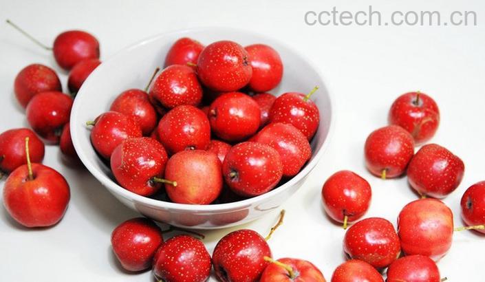 果蔬百科山楂的功效与作用及食用方法-0